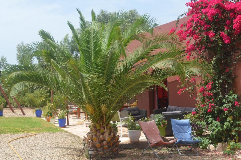 Casa Naima Hotel Ida Ougourd Ngoại thất bức ảnh