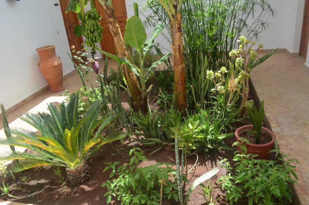 Casa Naima Hotel Ida Ougourd Ngoại thất bức ảnh